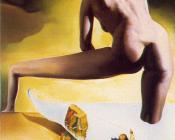 萨尔瓦多 达利 : 达利揭开地中海的皮肤向加拉展示维纳斯的诞生